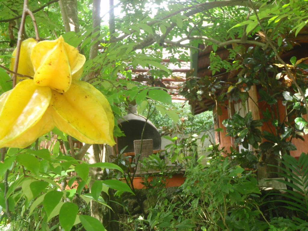 Pachamama Tropical Garden Lodge Malpais Bagian luar foto