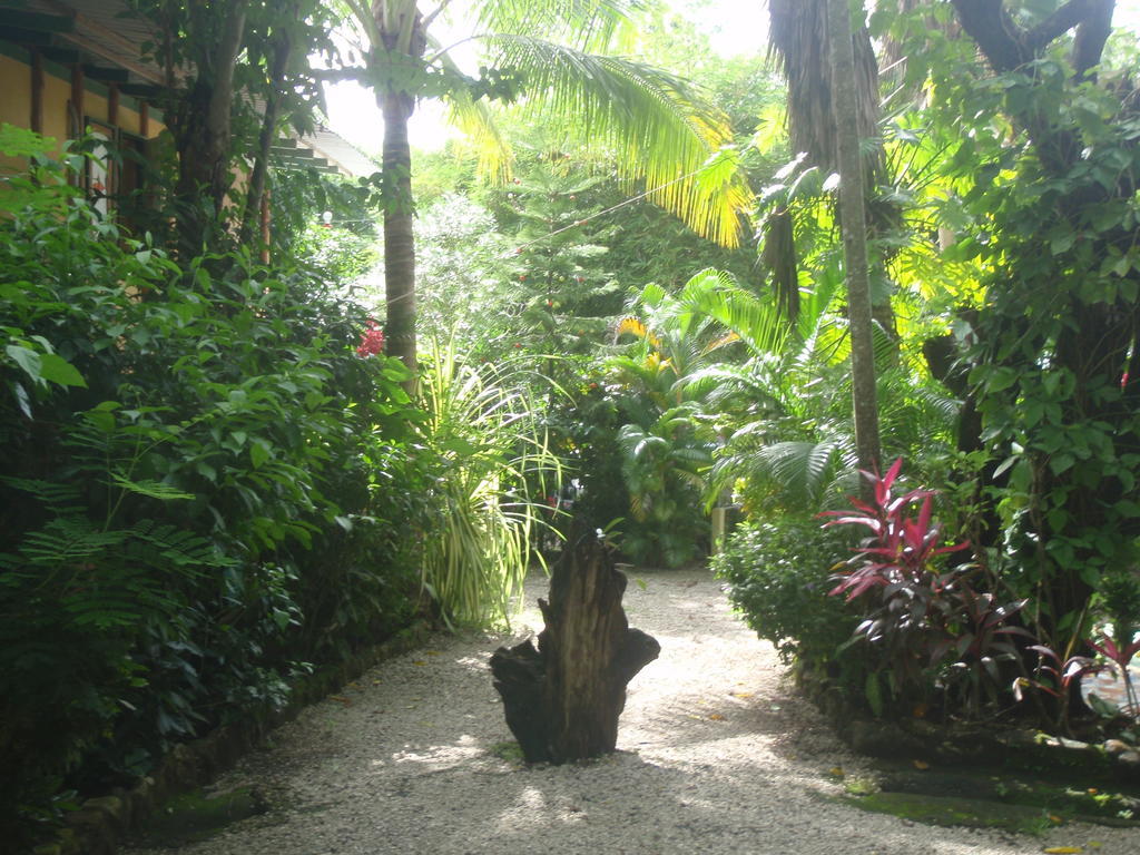 Pachamama Tropical Garden Lodge Malpais Bagian luar foto