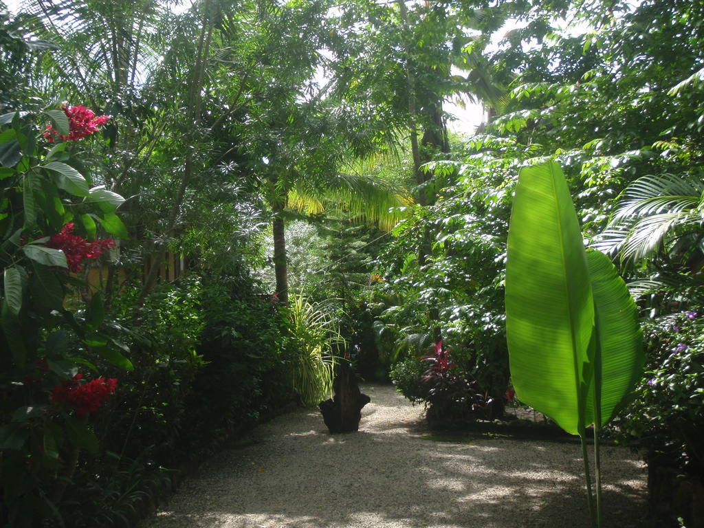 Pachamama Tropical Garden Lodge Malpais Bagian luar foto