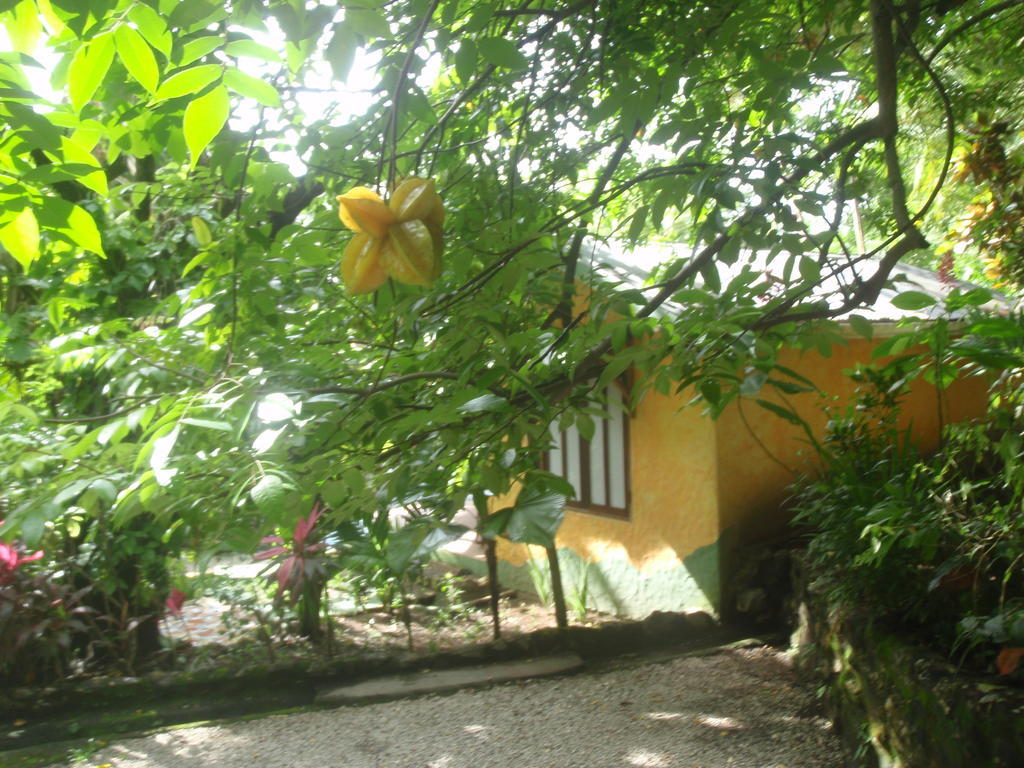 Pachamama Tropical Garden Lodge Malpais Ruang foto