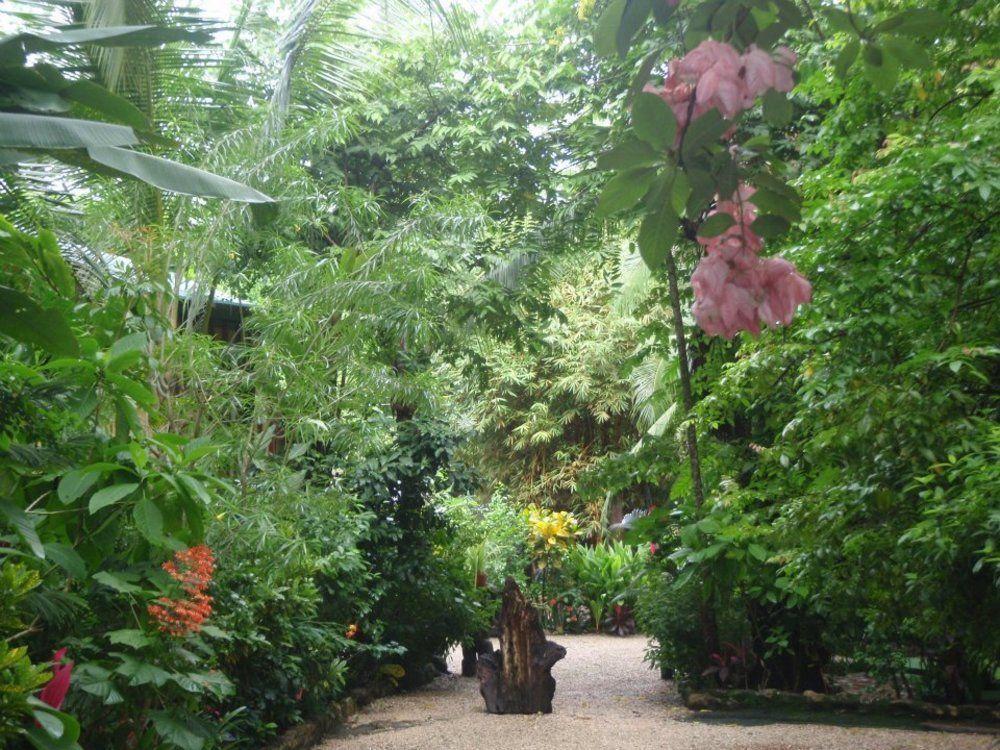 Pachamama Tropical Garden Lodge Malpais Bagian luar foto